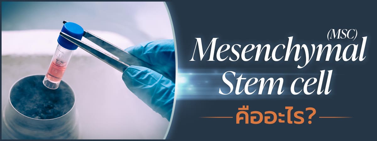 Immune Rejuvenating สเต็มเซลล์ Stem Cell ยกกระชับผิว ชะลอวัย Immune Rejuvenating สเต็มเซลล์ Stem Cell ยกกระชับผิว ชะลอวัย