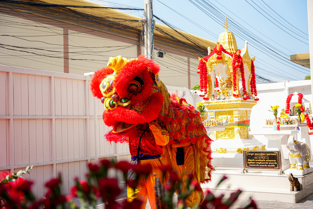 ฉลองเทศกาลตรุษจีน