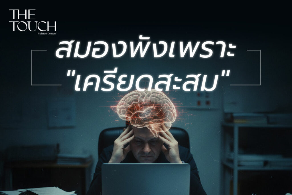 สมองพังเพราะ “เครียดสะสม” : สัญญาณเตือนภัยเงียบที่ทำลายชีวิตคุณ พร้อมวิธีฟื้นฟูให้กลับมาสปาร์คอีกครั้ง