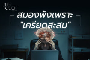 สมองพังเพราะ “เครียดสะสม” : สัญญาณเตือนภัยเงียบที่ทำลายชีวิตคุณ พร้อมวิธีฟื้นฟูให้กลับมาสปาร์คอีกครั้ง