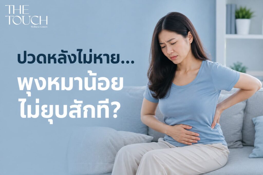 ปวดหลังเรื้อรัง พุงหมาน้อยไม่หาย! รู้จัก “กล้ามเนื้อแกนกลางลำตัว” เสาหลักร่างกายที่คนส่วนใหญ่ละเลยจนร่างพัง
